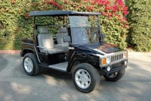affordable golf cart rental, golf cart rent myrtle